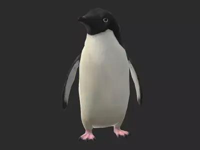 Adelie Penguin Low Poly Animated Free low-poly 3D model