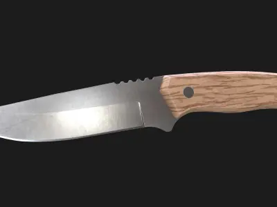 Kitchen Knife Wooden Handle Low-poly 3D model