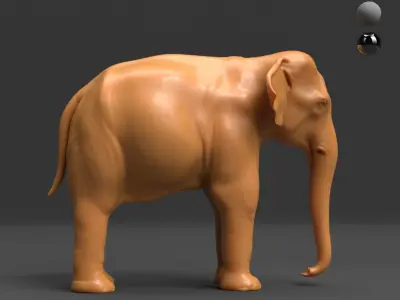 Asian Elephant - BaseMesh 3D model