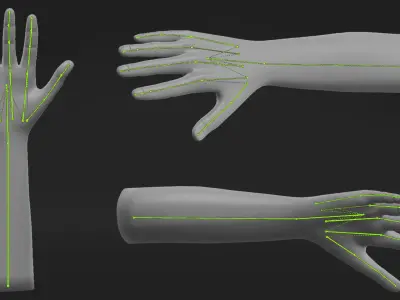 Realistic Hand-Rigged 3D model