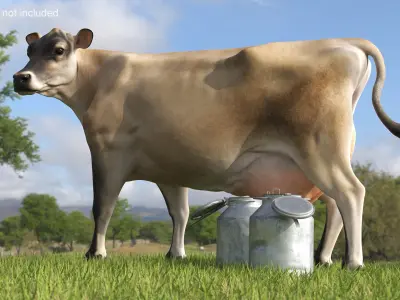 Jersey Heifer and Milk Bucket 3D model