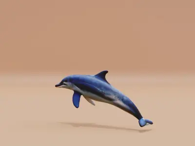 Dolphin white and smooth skin Fish Low-poly 3D model