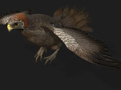 Kestrel B2 3D model
