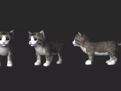 Cute cat 3D model material file 3D model