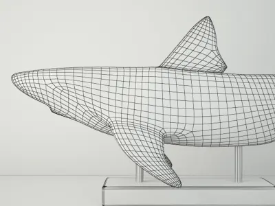 Relief of a Swimming Shark 3D model
