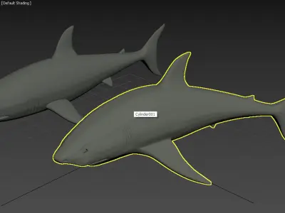 Shark Model with Texture Free 3D model