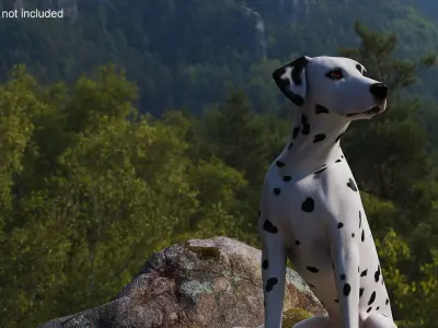 Dalmatian Dog Sitting Pose 3D model
