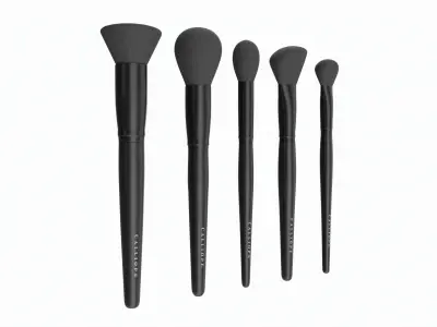 Face Brush Collection 5 Piece 3D model