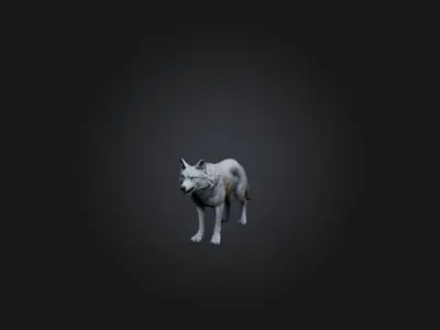 Realistic Wolf Model Low-poly 3D model