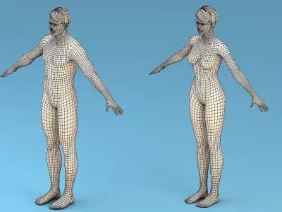 Base Character Male or female 3D model