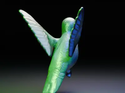 hummingbird 3D model purchase