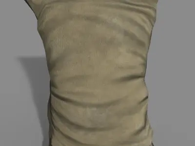 Sack Standart Low-poly 3D model