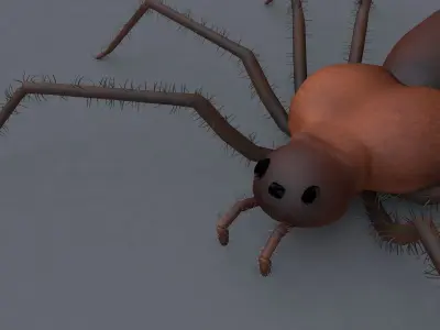 Spider Low-poly 3D model 7