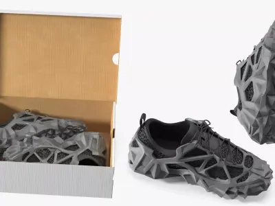 Athletic Footwear with Geometric Structure in Box 3D model