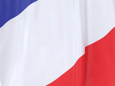France Cloth Flag Wall Mount Animated 3D model