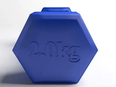 Fixed-weight dumbbell 2 kg 3D model