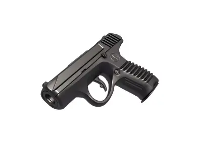 P-96-rifle 3D print model
