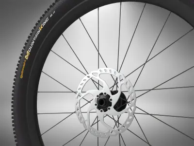 Bicycle Wheel 3D model