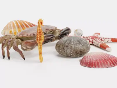 -Sealife Set- 3D model