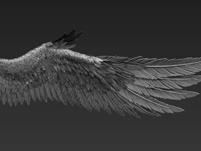 Wings Realistic pair of colorful feathered 3D model