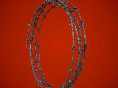 3D Barbed Wire Low-poly 3D model