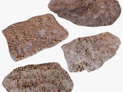 Forest Ground Collection 3D model
