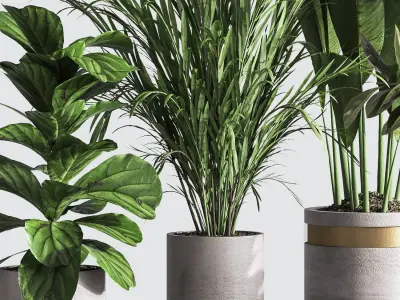 IndoorPlantSet33 group of plants in pots 3D model