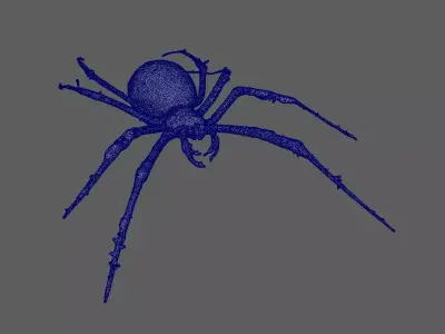 Spider 3D model 21