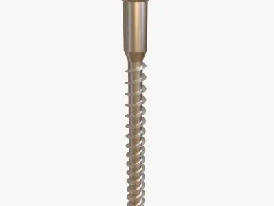 Phillips flat head Wood Screw 3D model