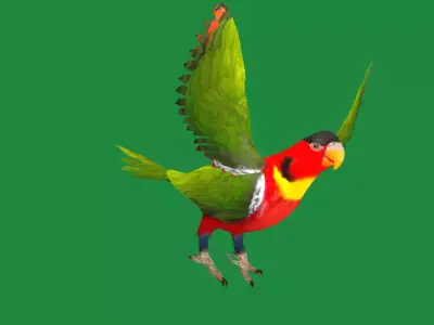 Yellow Bibbed Lory Parrot Bird Free 3D model