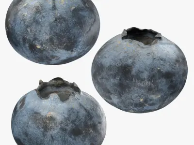 Blueberry - 3D Scanned Collection 3D model