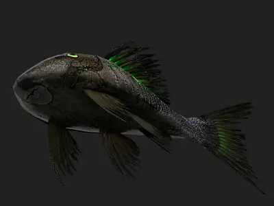 Panaque Low-poly 3D model