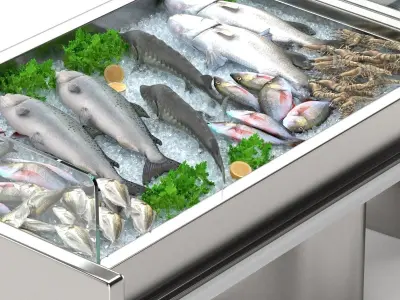 Display counter seafood 3D model