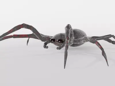 Spider Free low-poly 3D model