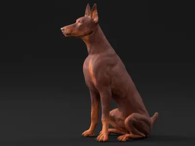 Doberman Dog Brown Sits 3D model