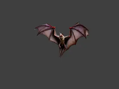 Bat Animal Low-poly 3D model