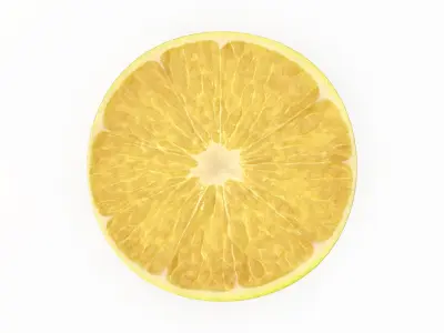  Lemon Slice(1)  purchase