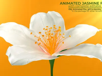 Realistic Jasmine Flower Bloom Animation 3D model