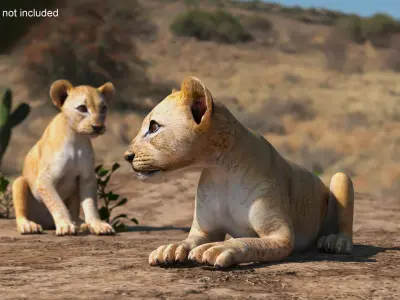 Lion Cub Lying Down 3D model