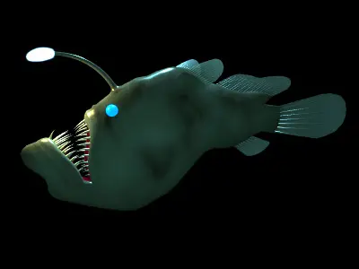 Angler Fish 3D model buy