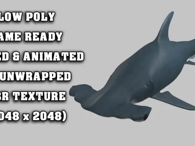 Hammer Head Shark - Game Ready - Rigged Low-poly 3D model