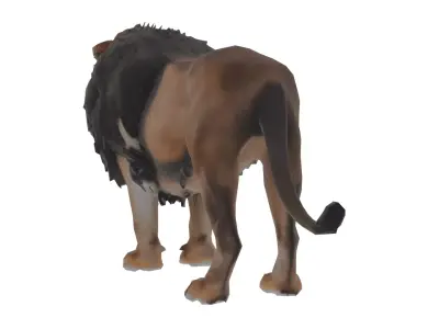 Lion Mammal Low-poly 3D model