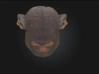 Contemplative Chimpanzee Realistic Primate Model 3D model