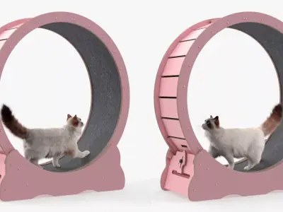 Ragdoll Cat Walking on Exercise Wheel Fur 3D model