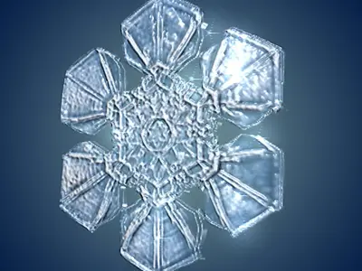 Snow flakes 3D model