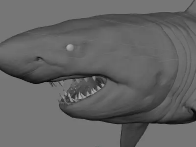 Great White Shark Low-poly 3D model buy