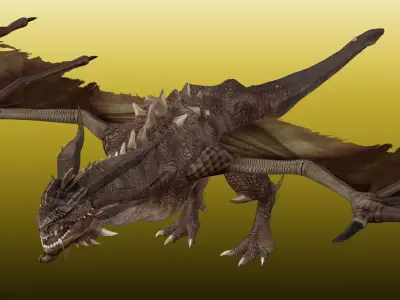 Dragon Wyvern  3D model