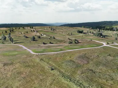 Golf Course  purchase 3D model