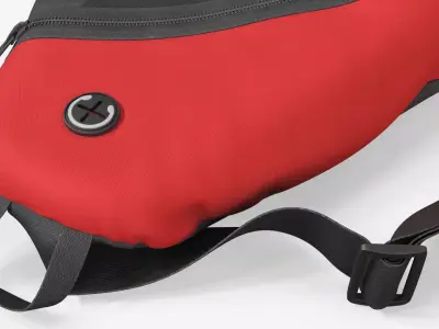Pickleball Set with Rackets Bag and Ball 3D model