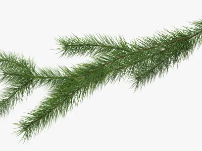  Green Pine Branch 